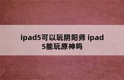 ipad5可以玩阴阳师 ipad5能玩原神吗